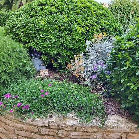 Jasmine With Swimming Pool Villa