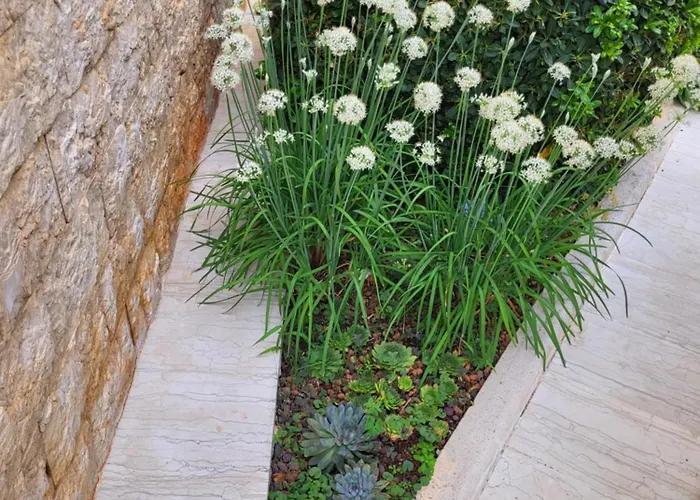 Βίλα Jasmine With Swimming Pool *