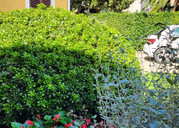 Villa Jasmine With Swimming Pool