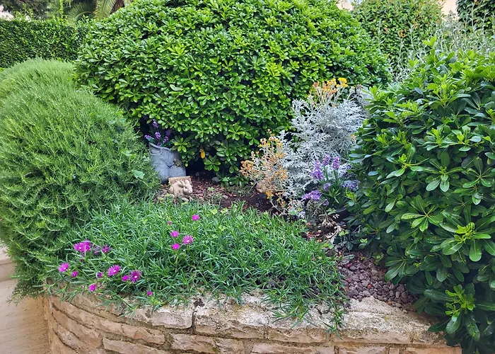 Jasmine With Swimming Pool 빌라